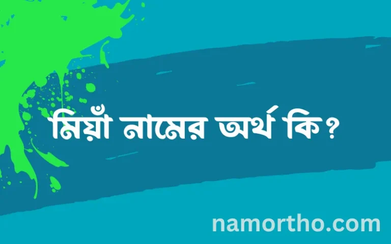 মিয়াঁ নামের অর্থ কি? মিয়াঁ নামের বাংলা, আরবি/ইসলামিক অর্থসমূহ