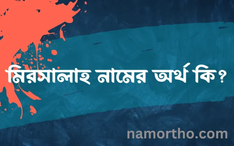 মিরসালাহ নামের অর্থ কি? মিরসালাহ নামের বাংলা, আরবি/ইসলামিক অর্থসমূহ