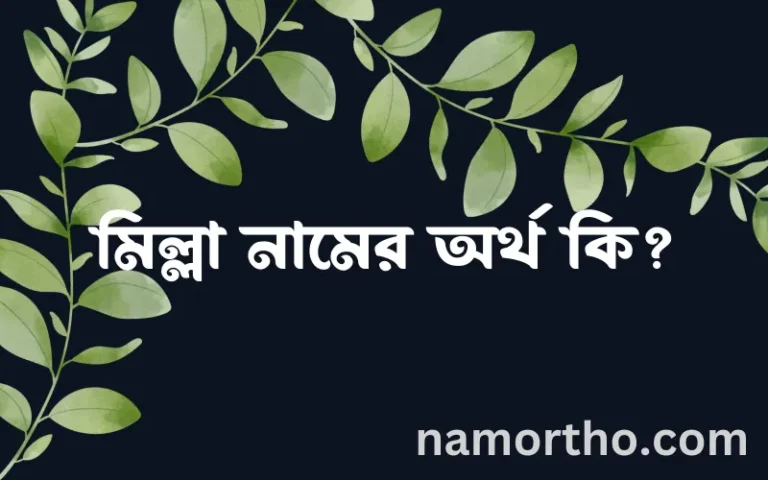 মিল্লা নামের অর্থ কি, ইসলামিক আরবি এবং বাংলা অর্থ জানুন