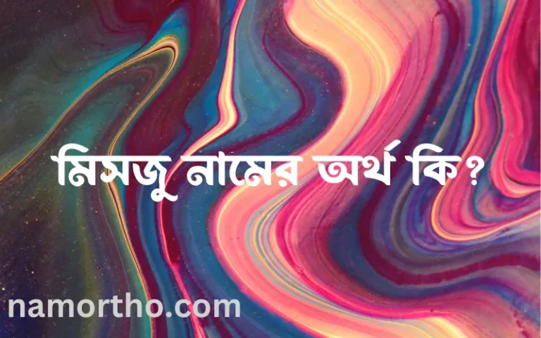 মিসজু নামের অর্থ কি? ইসলামিক আরবি বাংলা অর্থ