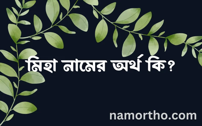 মিহা নামের আর্থ কি?