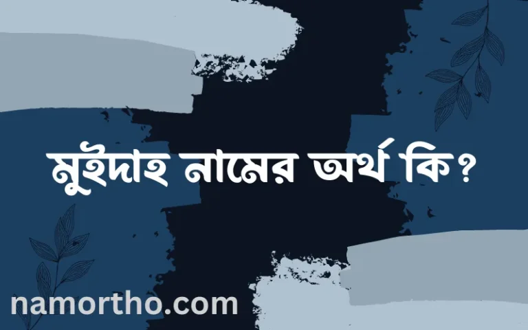 মুইদাহ নামের অর্থ কি? মুইদাহ নামের ইসলামিক অর্থ এবং বিস্তারিত তথ্য সমূহ