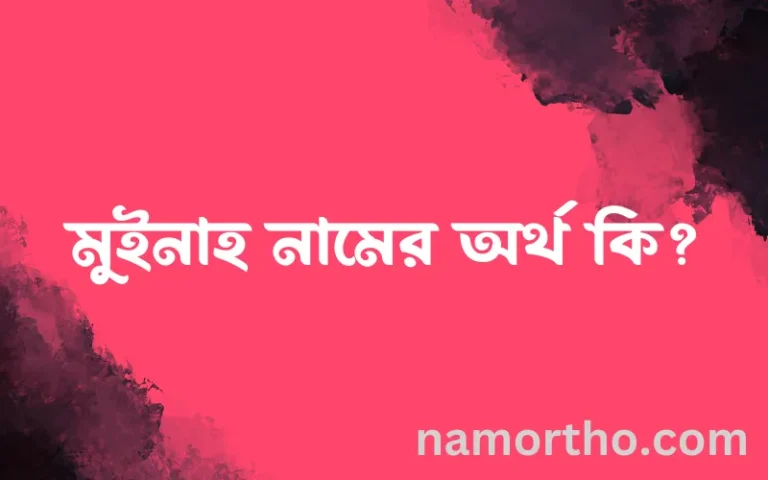 মুইনাহ নামের অর্থ কি? মুইনাহ নামের বাংলা, আরবি/ইসলামিক অর্থসমূহ