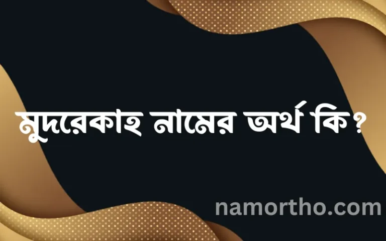 মুদরেকাহ নামের অর্থ কি, ইসলামিক আরবি এবং বাংলা অর্থ জানুন