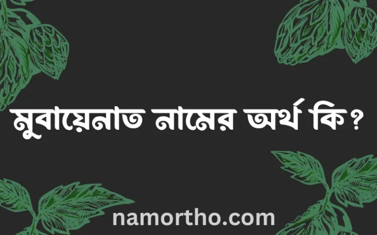 মুবায়েনাত নামের অর্থ কি? মুবায়েনাত নামের বাংলা, আরবি/ইসলামিক অর্থসমূহ
