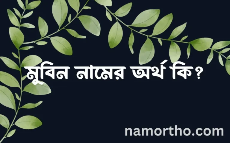মুবিন নামের অর্থ কি? ইসলামিক আরবি বাংলা অর্থ এবং নামের তাৎপর্য