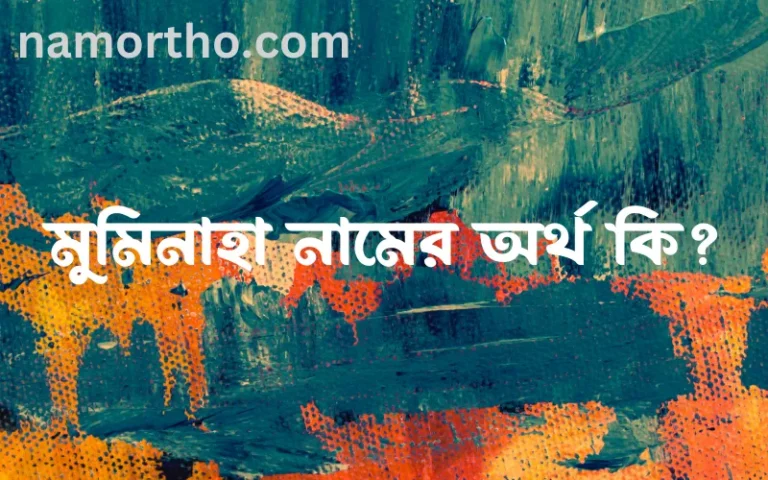 মুমিনাহা নামের অর্থ কি এবং ইসলাম কি বলে? (বিস্তারিত)
