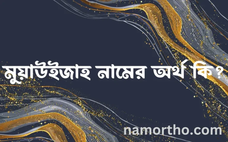 মুয়াউইজাহ নামের অর্থ কি এবং ইসলাম কি বলে? (বিস্তারিত)