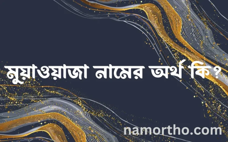 মুয়াওয়াজা নামের অর্থ কি? মুয়াওয়াজা নামের বাংলা, আরবি/ইসলামিক অর্থসমূহ