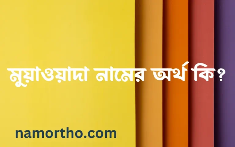মুয়াওয়াদা নামের অর্থ কি? ইসলামিক আরবি বাংলা অর্থ