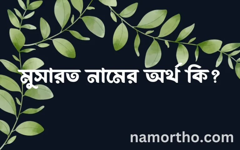 মুসারত নামের অর্থ কি? মুসারত নামের বাংলা, আরবি/ইসলামিক অর্থসমূহ
