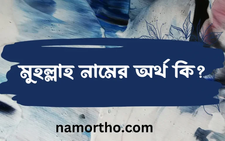 মুহল্লাহ নামের অর্থ কি এবং ইসলাম কি বলে? (বিস্তারিত)
