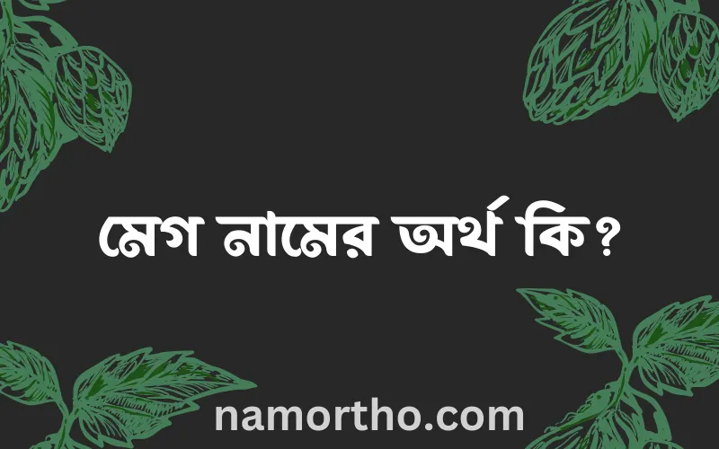 মেগ নামের আর্থ কি?