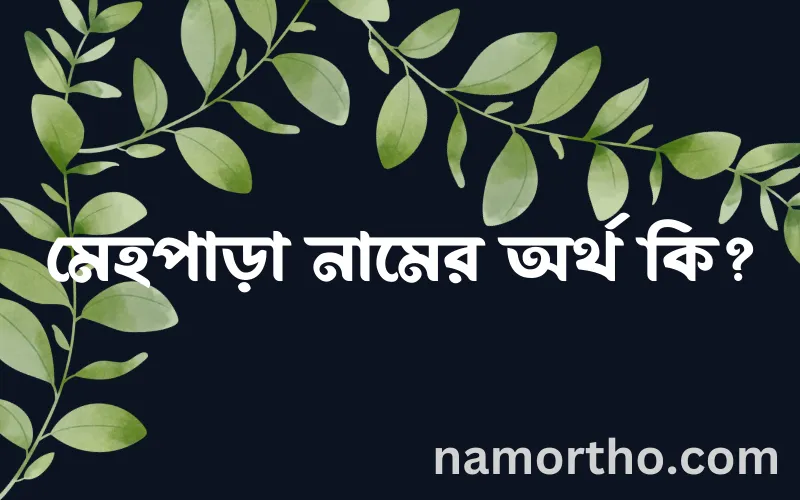 মেহপাড়া নামের আর্থ কি?