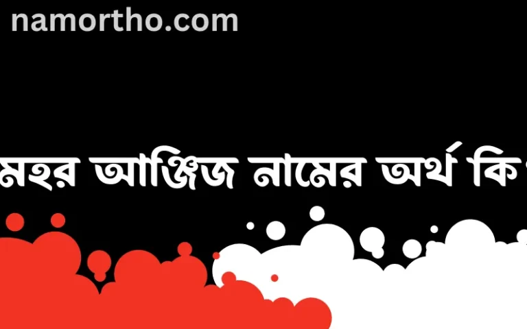মেহর আঞ্জিজ নামের অর্থ কি? মেহর আঞ্জিজ নামের ইসলামিক অর্থ এবং বিস্তারিত তথ্য সমূহ