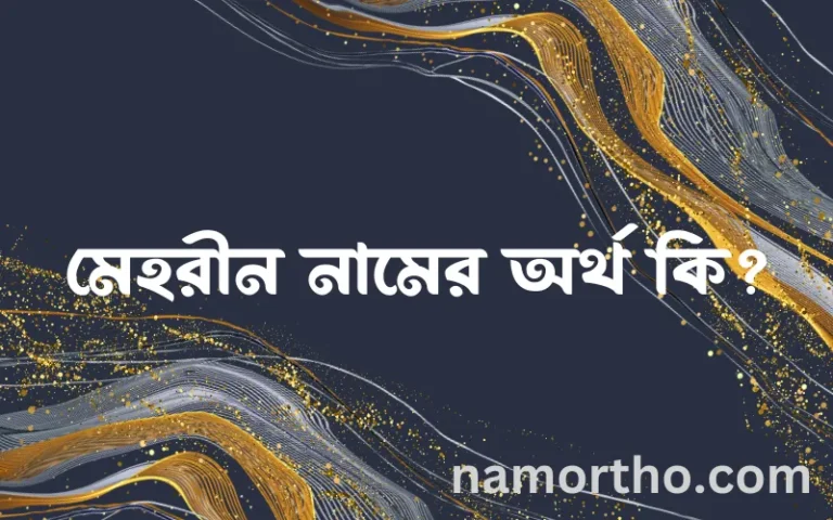 মেহরীন নামের অর্থ কি এবং ইসলাম কি বলে? (বিস্তারিত)