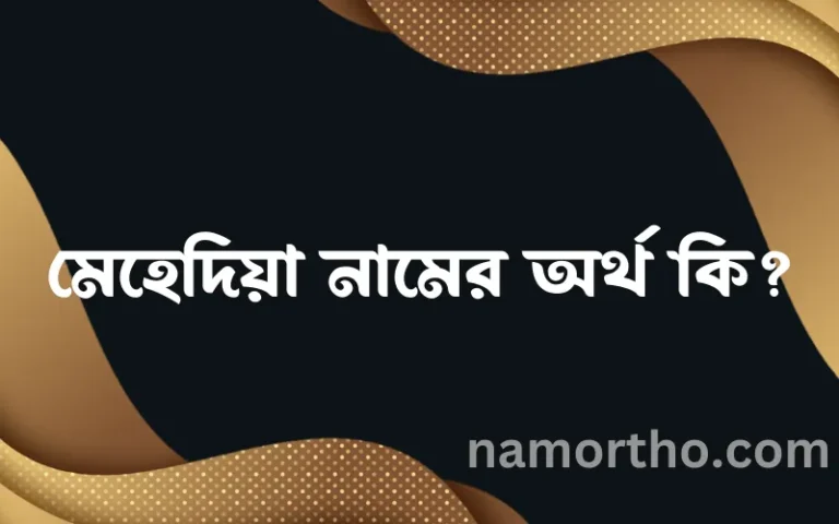 মেহেদিয়া নামের অর্থ কি? মেহেদিয়া নামের বাংলা, আরবি/ইসলামিক অর্থসমূহ