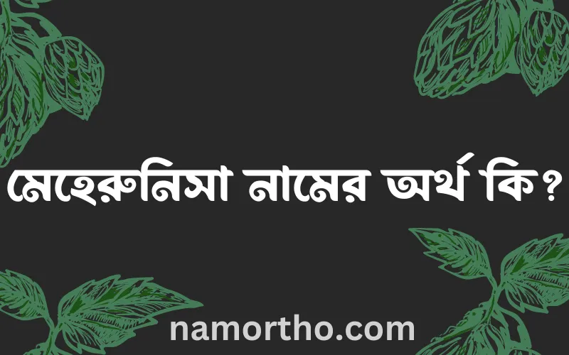 মেহেরুনিসা নামের আর্থ কি?