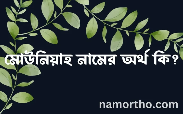 মোউনিয়াহ নামের অর্থ কি? ইসলামিক আরবি বাংলা অর্থ এবং নামের তাৎপর্য