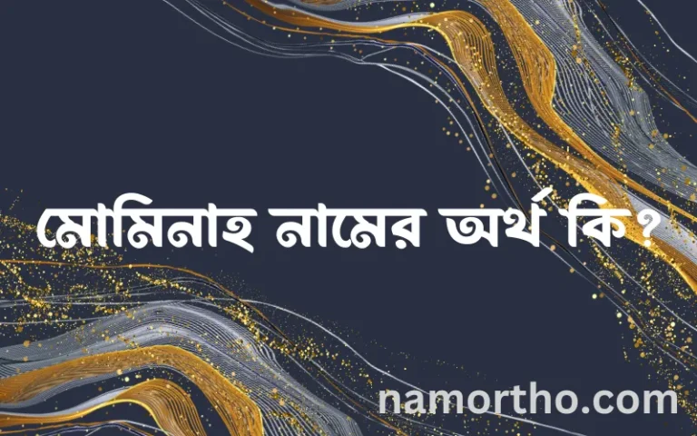 মোমিনাহ নামের অর্থ কি? মোমিনাহ নামের ইসলামিক অর্থ এবং বিস্তারিত তথ্য সমূহ