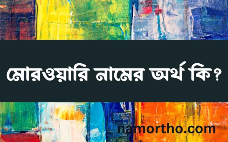 মোরওয়ারি নামের অর্থ কি? মোরওয়ারি নামের বাংলা, আরবি/ইসলামিক অর্থসমূহ