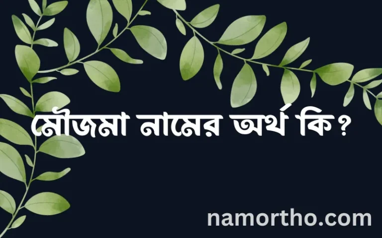 মৌজমা নামের অর্থ কি, ইসলামিক আরবি এবং বাংলা অর্থ জানুন