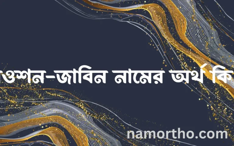রওশন-জাবিন নামের অর্থ কি? ইসলামিক আরবি বাংলা অর্থ