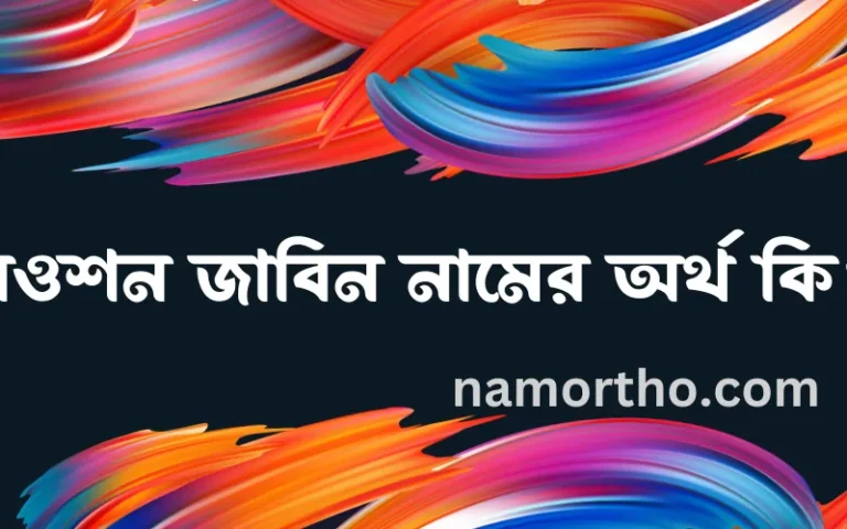 রওশন জাবিন নামের অর্থ কি? ইসলামিক আরবি বাংলা অর্থ