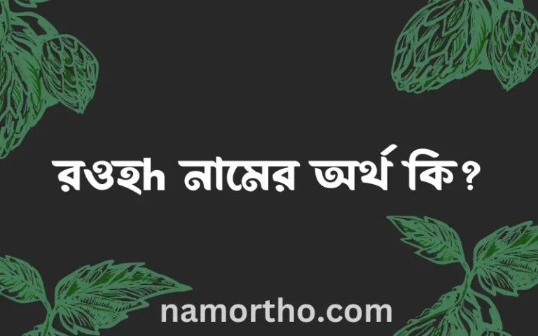 রওহh নামের অর্থ কি? রওহh নামের ইসলামিক অর্থ এবং বিস্তারিত তথ্য সমূহ