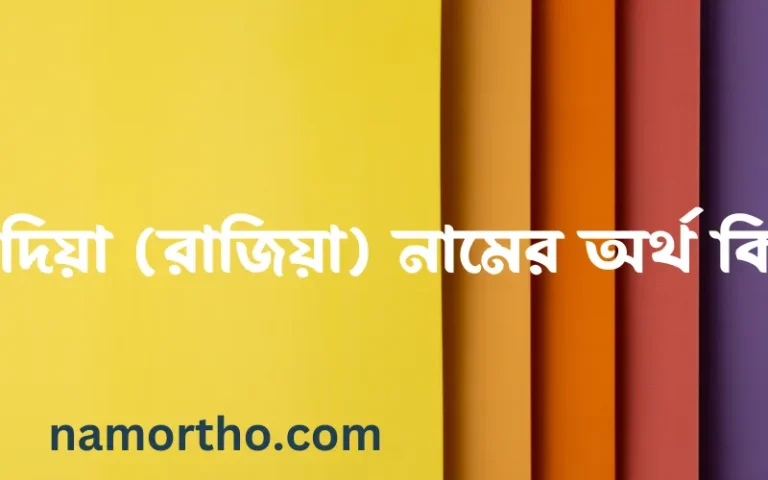 রাদিয়া (রাজিয়া) নামের অর্থ কি? (ব্যাখ্যা ও বিশ্লেষণ) জানুন