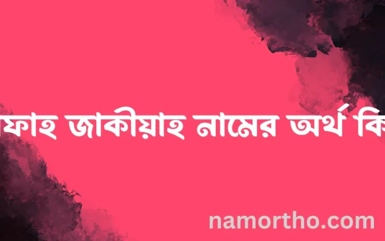 রাফাহ জাকীয়াহ নামের অর্থ কি? রাফাহ জাকীয়াহ নামের বাংলা, আরবি/ইসলামিক অর্থসমূহ