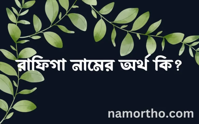 রাফিগা নামের অর্থ কি? রাফিগা নামের বাংলা, আরবি/ইসলামিক অর্থসমূহ
