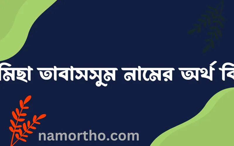 রামিছা তাবাসসুম নামের আর্থ কি?