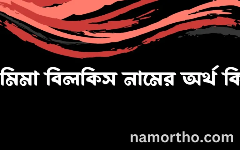 রামিমা বিলকিস নামের অর্থ কি? (ব্যাখ্যা ও বিশ্লেষণ) জানুন