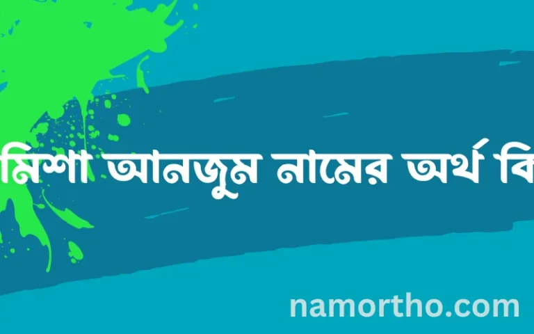রামিশা আনজুম নামের অর্থ কি, বাংলা ইসলামিক এবং আরবি অর্থ?