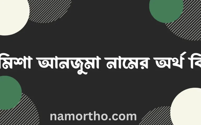 রামিশা আনজুমা নামের অর্থ কি? ইসলামিক আরবি বাংলা অর্থ এবং নামের তাৎপর্য