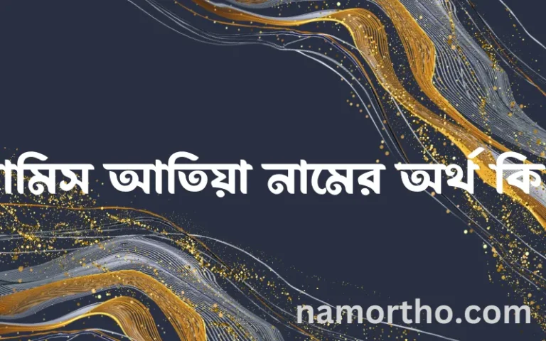 রামিস আতিয়া নামের অর্থ কি? রামিস আতিয়া নামের বাংলা, আরবি/ইসলামিক অর্থসমূহ