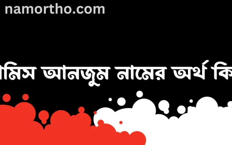 রামিস আনজুম নামের অর্থ কি? (ব্যাখ্যা ও বিশ্লেষণ) জানুন