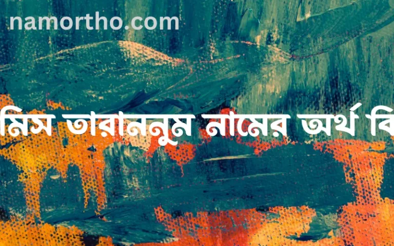 রামিস তারাননুম নামের অর্থ কি? রামিস তারাননুম নামের বাংলা, আরবি/ইসলামিক অর্থসমূহ