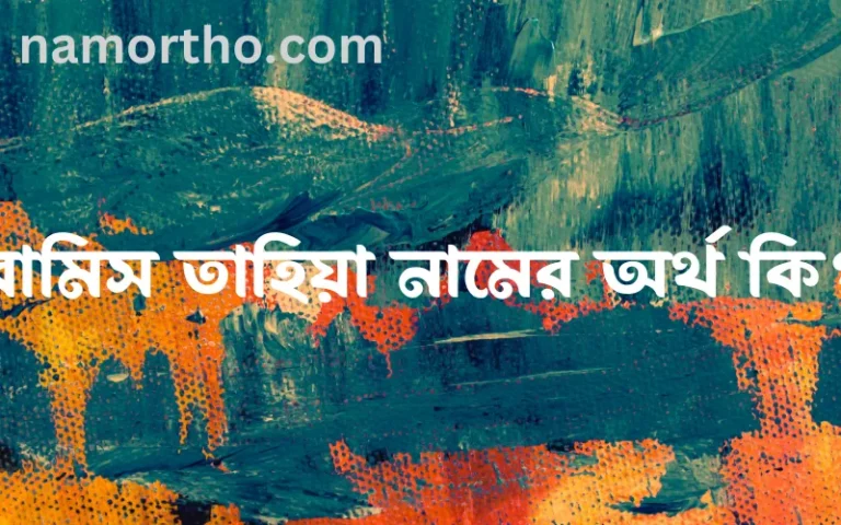 রামিস তাহিয়া নামের অর্থ কি? রামিস তাহিয়া নামের বাংলা, আরবি/ইসলামিক অর্থসমূহ