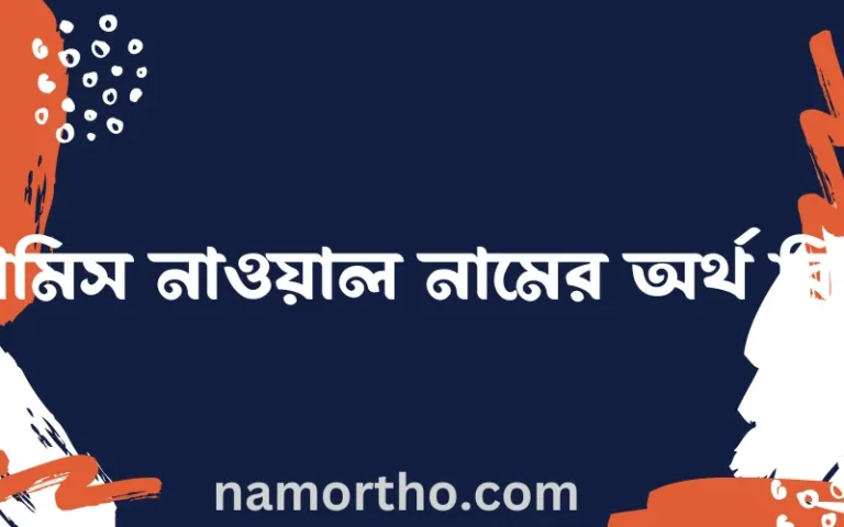 রামিস নাওয়াল নামের অর্থ কি? ইসলামিক আরবি বাংলা অর্থ