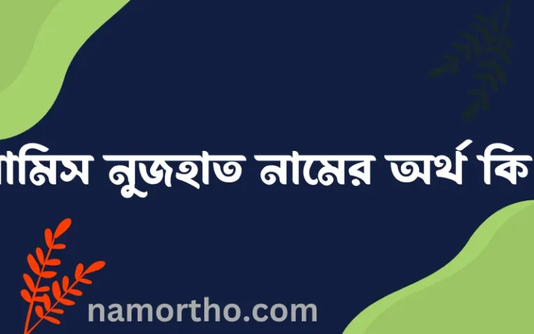 রামিস নুজহাত নামের অর্থ কি? রামিস নুজহাত নামের বাংলা, আরবি/ইসলামিক অর্থসমূহ