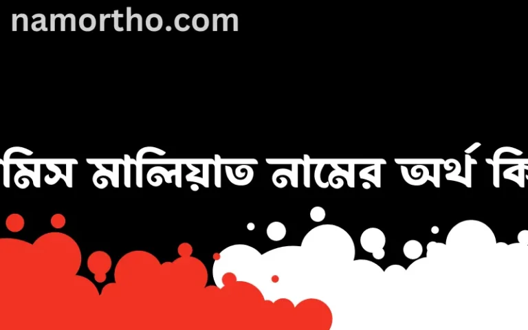 রামিস মালিয়াত নামের অর্থ কি? রামিস মালিয়াত নামের ইসলামিক অর্থ এবং বিস্তারিত তথ্য সমূহ