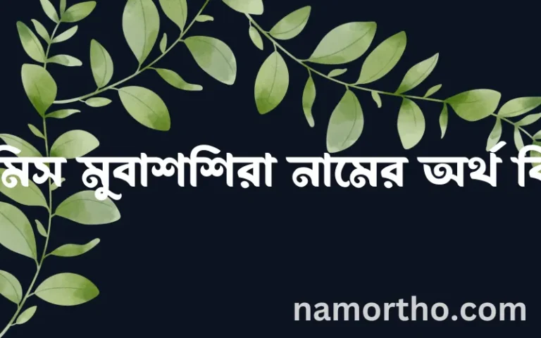 রামিস মুবাশশিরা নামের অর্থ কি? রামিস মুবাশশিরা নামের ইসলামিক অর্থ এবং বিস্তারিত তথ্য সমূহ