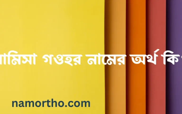 রামিসা গওহর নামের অর্থ কি? রামিসা গওহর নামের বাংলা, আরবি/ইসলামিক অর্থসমূহ