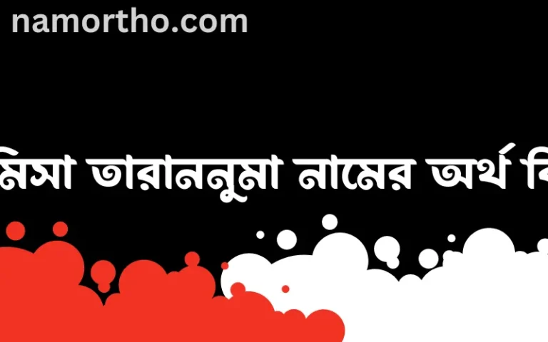 রামিসা তারাননুমা নামের অর্থ কি? (ব্যাখ্যা ও বিশ্লেষণ) জানুন