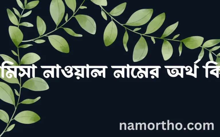 রামিসা নাওয়াল নামের অর্থ কি এবং ইসলাম কি বলে? (বিস্তারিত)