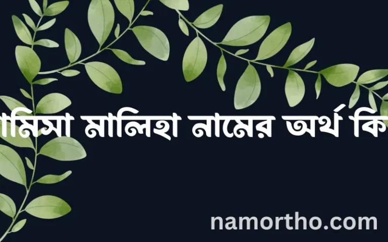 রামিসা মালিহা নামের অর্থ কি? (ব্যাখ্যা ও বিশ্লেষণ) জানুন