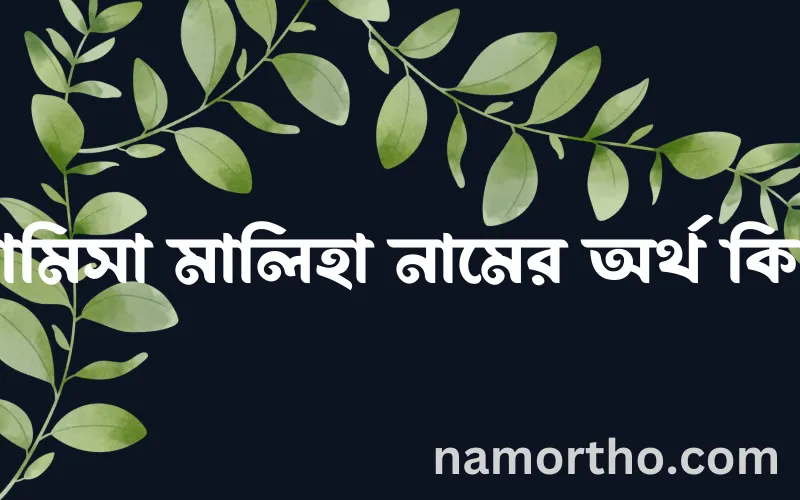 রামিসা মালিহা নামের আর্থ কি?