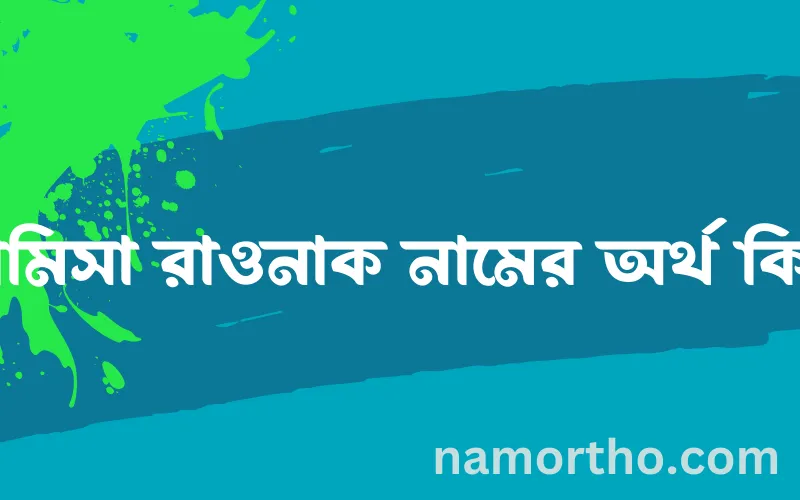 রামিসা রাওনাক নামের আর্থ কি?